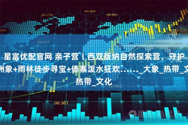 星富优配官网 亲子营丨西双版纳自然探索营，守护亚洲象+雨林徒步寻宝+傣寨泼水狂欢……_大象_热带_文化