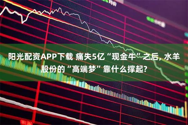 阳光配资APP下载 痛失5亿“现金牛”之后, 水羊股份的“高端梦”靠什么撑起?